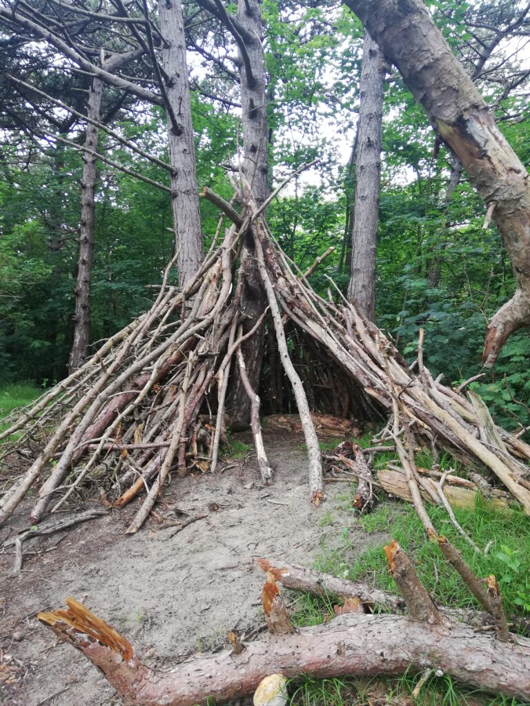 kamp 2 verkleind Kamp